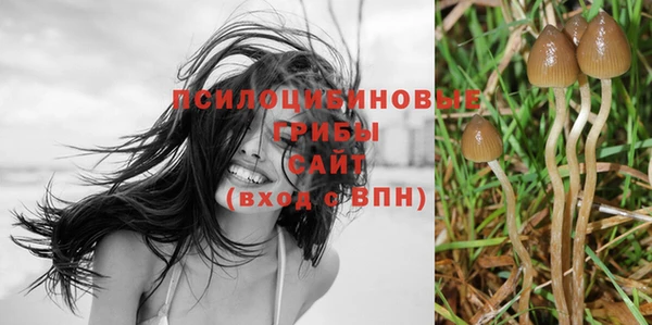 дурь Майский