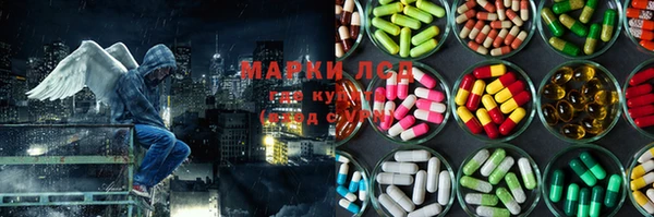 PSILOCYBIN Медногорск