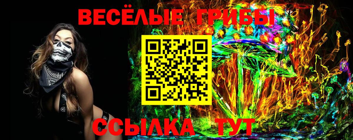 Альфа ПВП Магадан