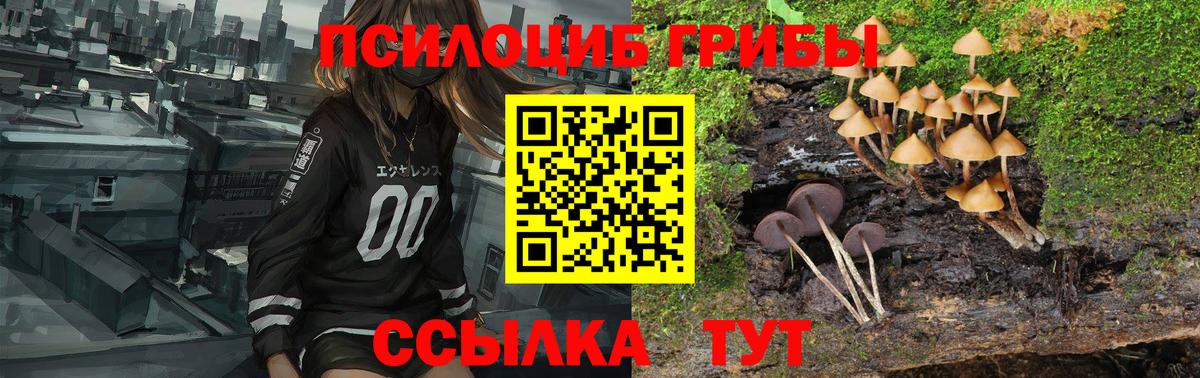 Галлюциногенные грибы Magic Shrooms  Вход с VPN  Магадан 